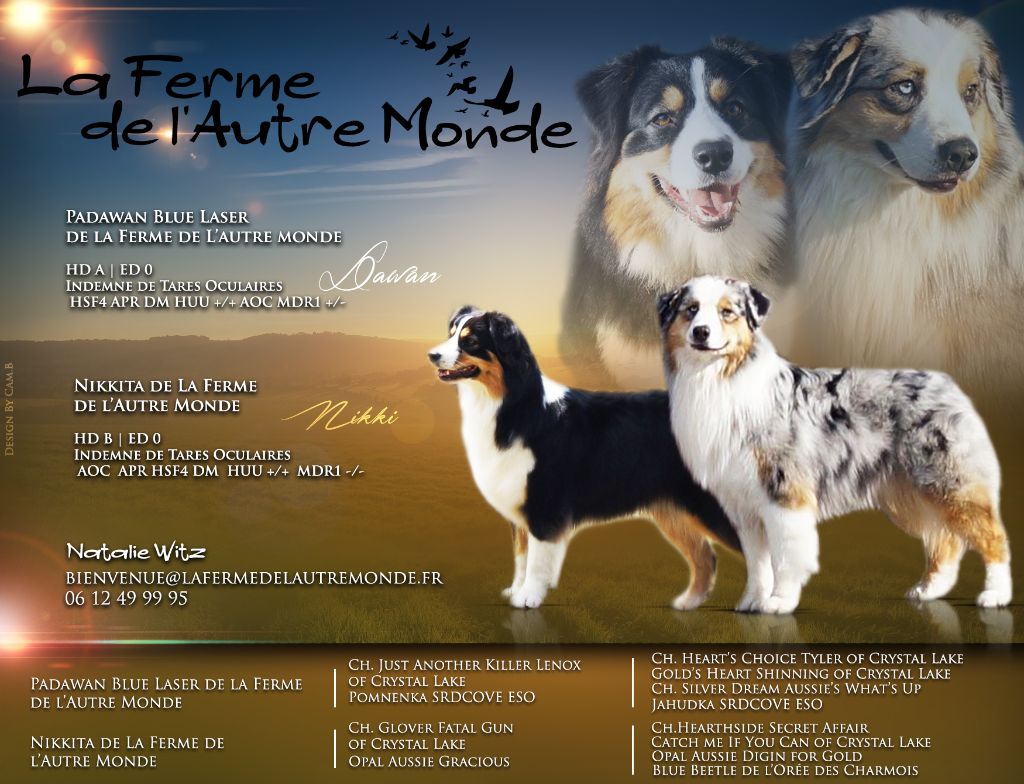 de la ferme de l'autre monde - La portée de Nikki et Padawan est née le 19 avril dernier !