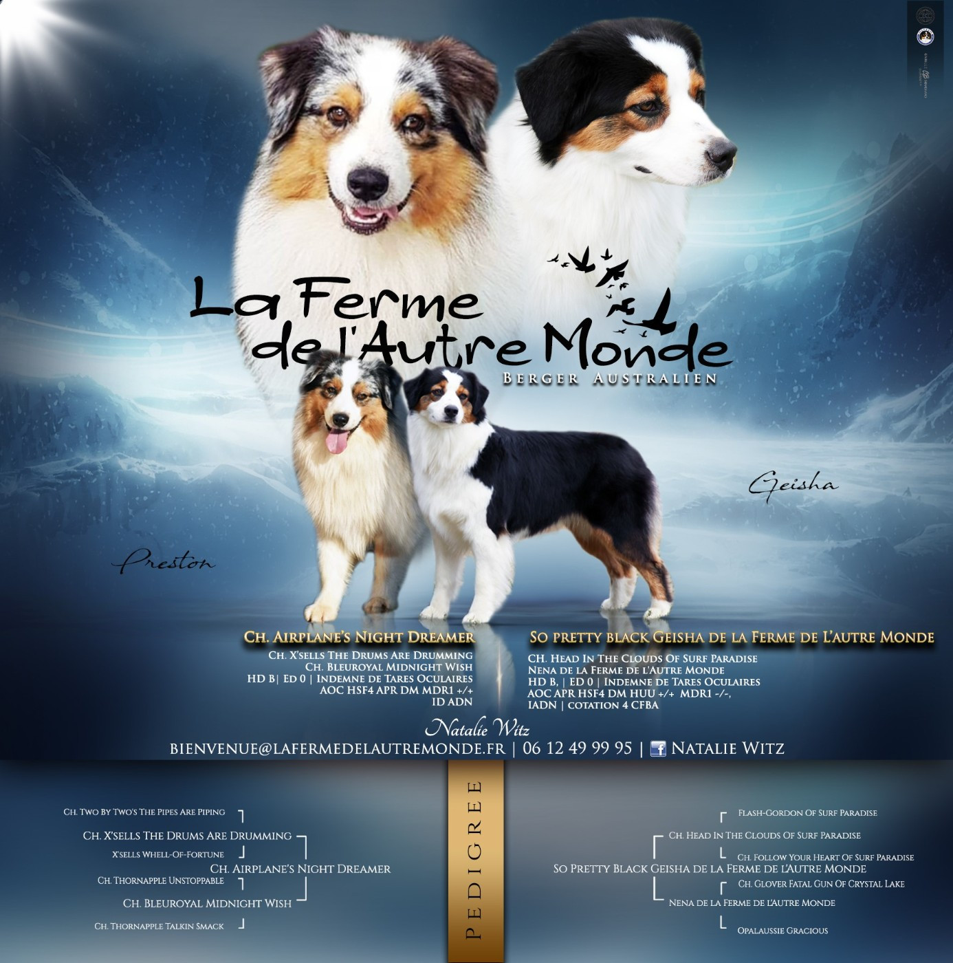 de la ferme de l'autre monde - Berger Australien - Portée née le 28/11/2025